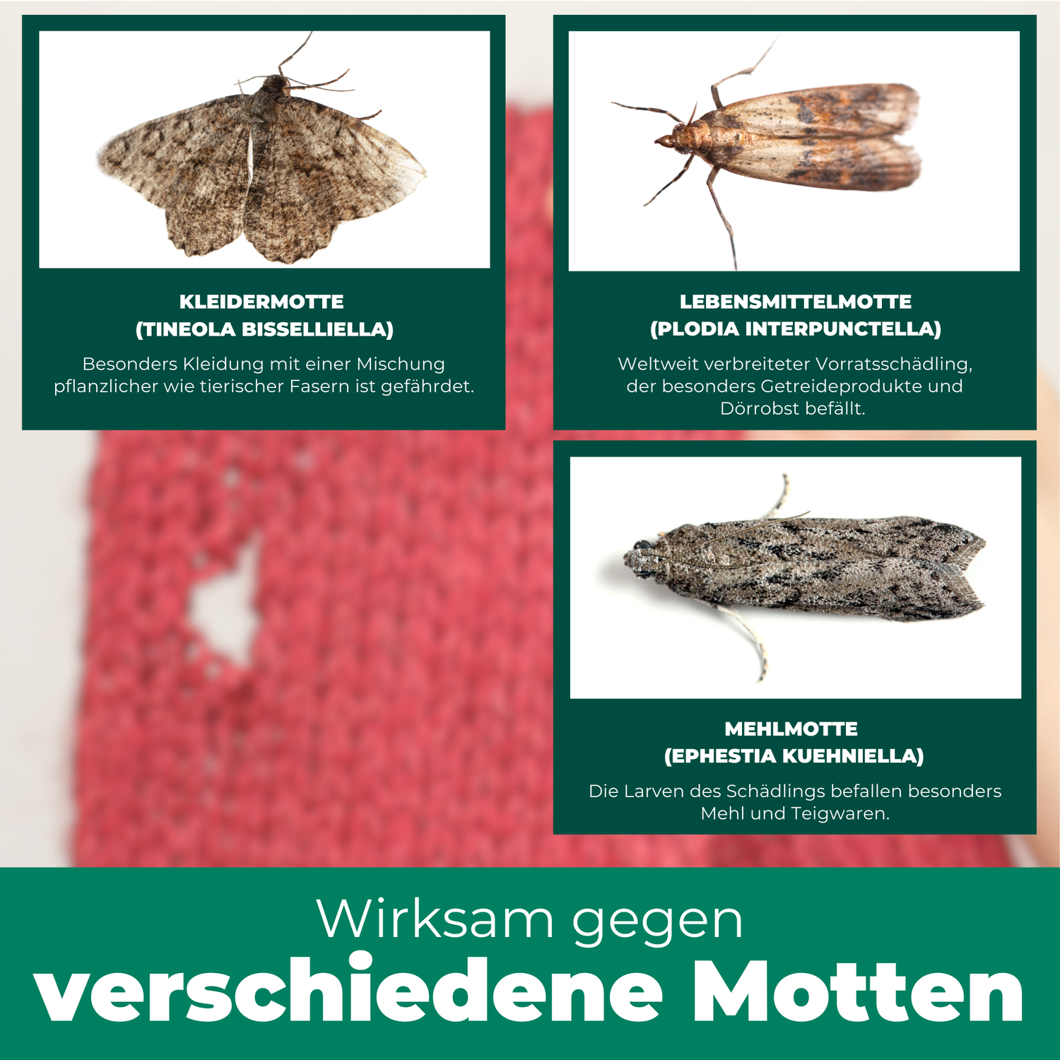 Mottenspray gegen Kleider- & Lebensmittelmotten - Silberkraft