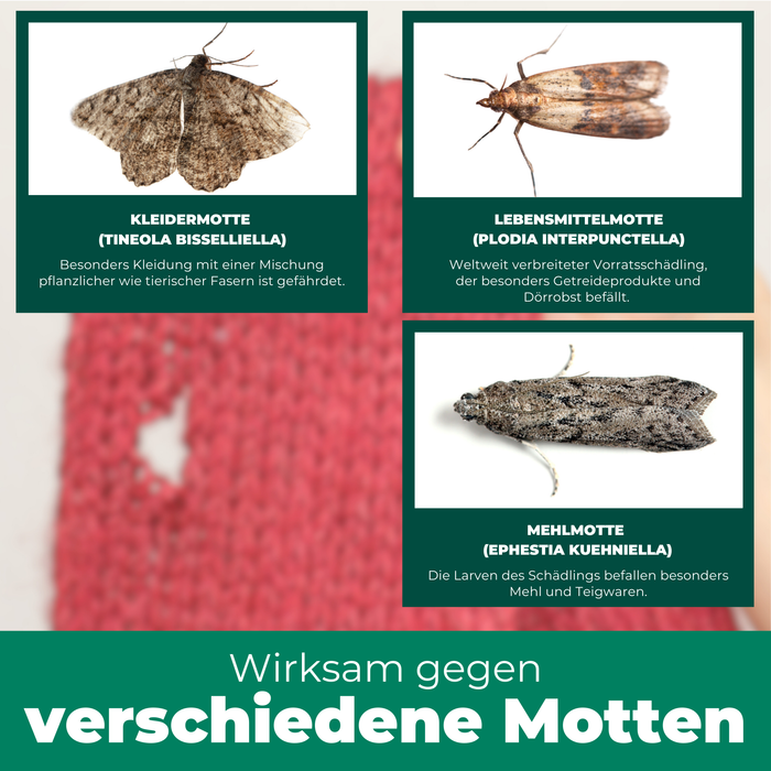 Mottenspray gegen Kleider- & Lebensmittelmotten - Silberkraft