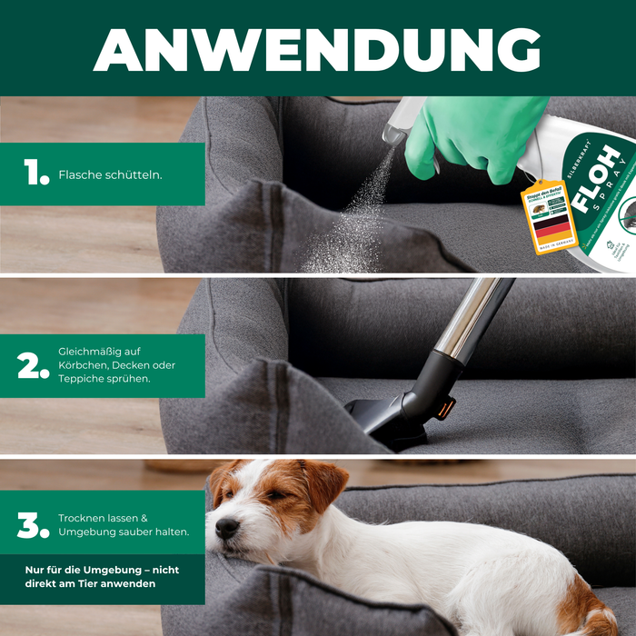 Instructies voor het gebruik van vlooienspray bij honden – stapsgewijze afbeeldingen