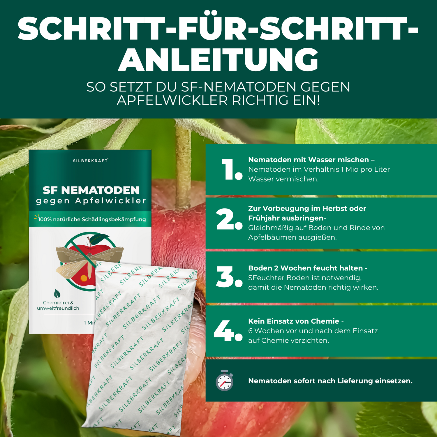 SF Nematoden gegen Apfelwickler - Silberkraft