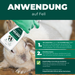 Anwendung von Milbenspray auf Kaninchenfell: Eine Hand mit grünem Handschuh sprüht Silberkraft Hasen & Kaninchen Milben Spray auf das Fell eines weißen Kaninchens. Anleitung in drei Schritten: 1. Einsprühen aus 15 cm Entfernung, Augen und Atemwege aussparen. 2. Einwirken lassen und mit Tuch oder Schwamm verteilen. 3. Regelmäßige Anwendung zur Vorbeugung oder bei akutem Milbenbefall. Das Spray bietet langanhaltenden Schutz gegen Milben.