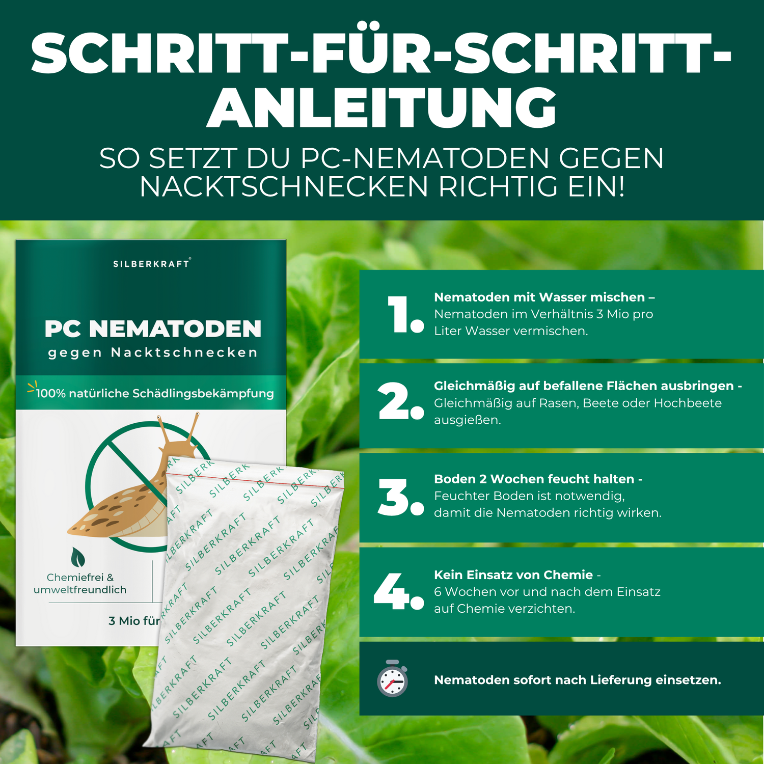 PC Nematoden gegen Nacktschnecken und Schnecken - Silberkraft