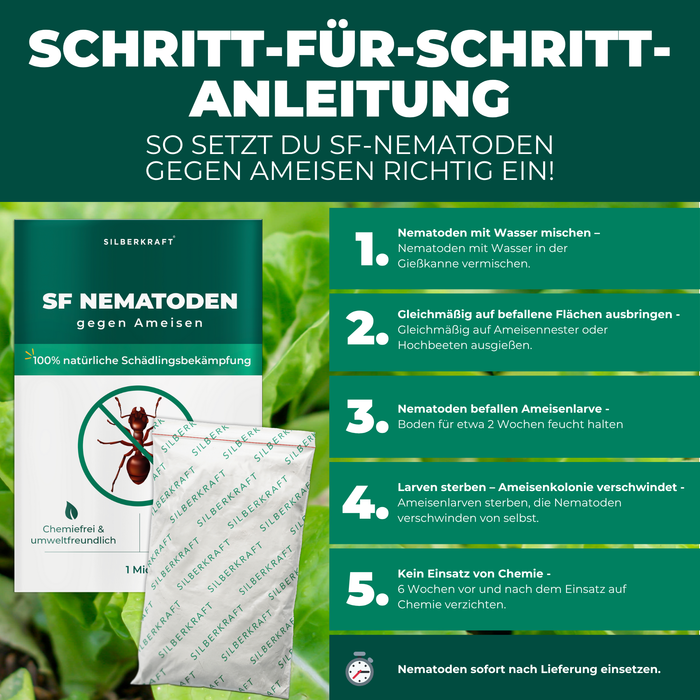 SF Nematoden gegen Ameisen - Silberkraft