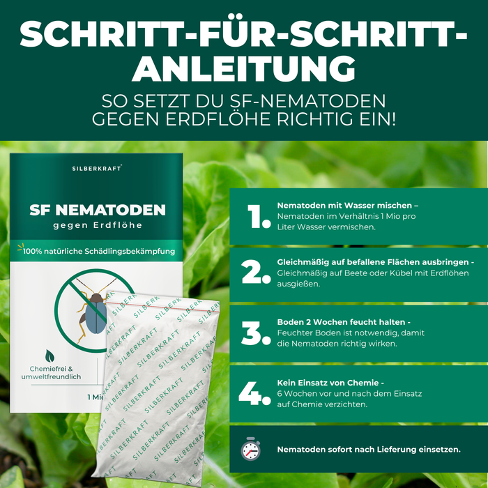 SF Nematoden gegen Erdflöhe - Silberkraft