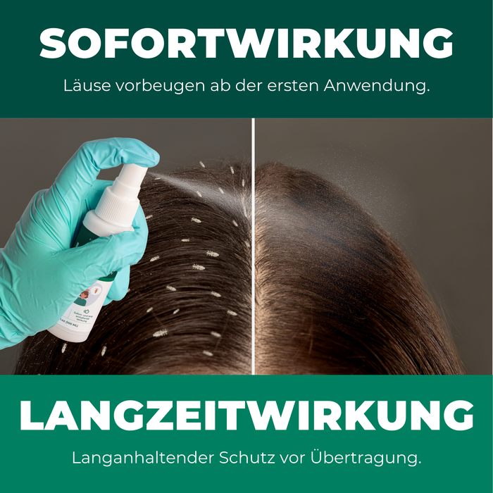 Silberkraft Läuseabwehrspray Sofortwirkung und Langzeitwirkung. Auf der Linken Seite sind noch Haare mit Läusen und nach einwirken des Sprays sind die Läuse und Nissen weg