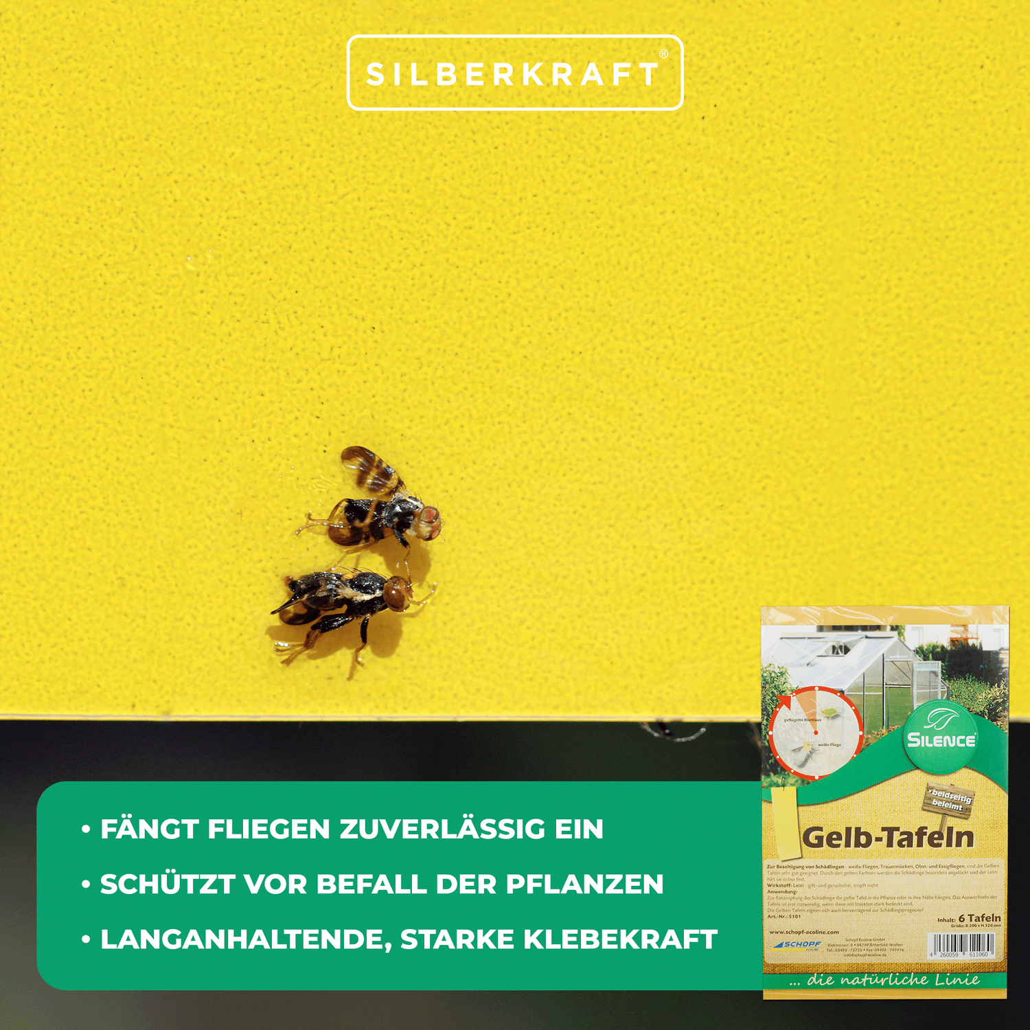 Silence Gelbtafeln: Effektive Lösung gegen weiße Fliegen, Trauermücken, Obst- und Essigfliegen - Silberkraft