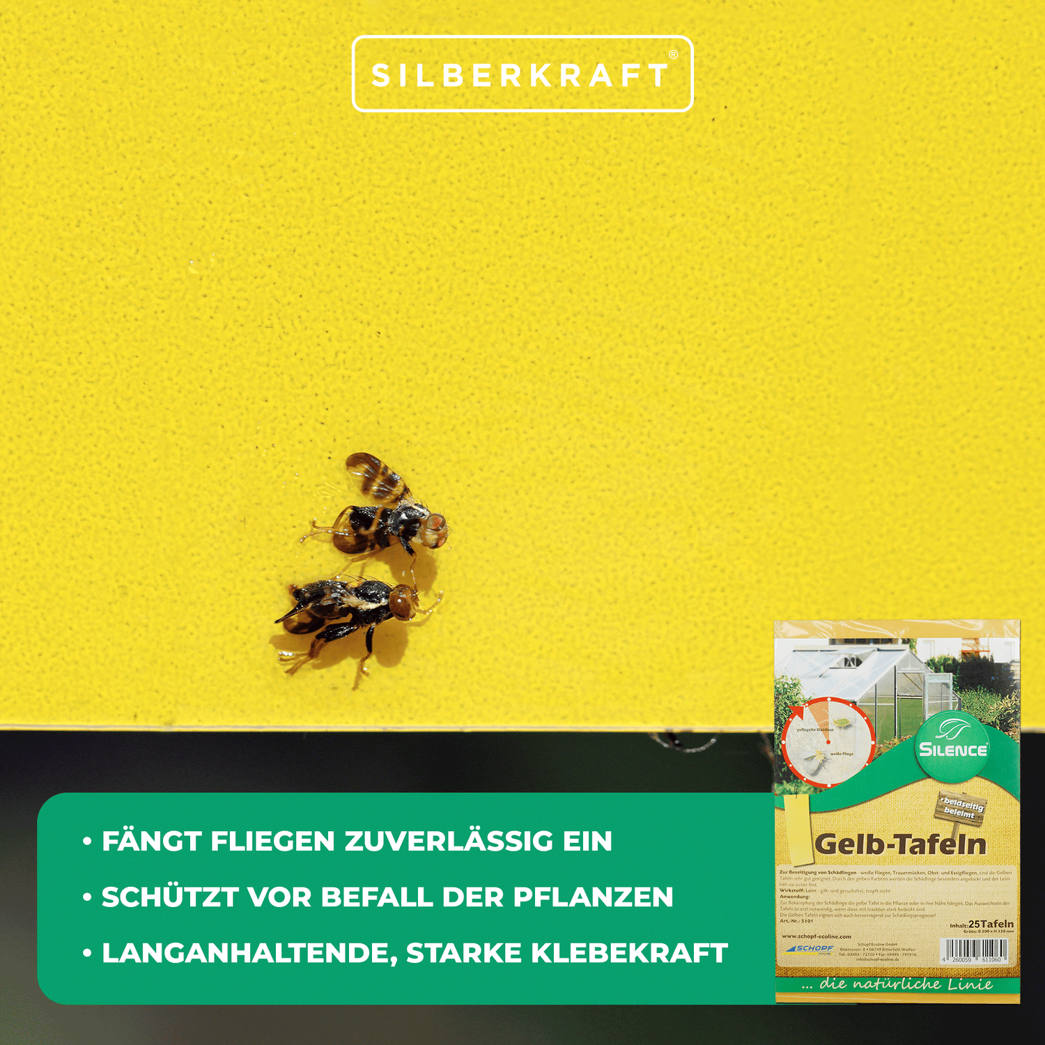 Silence Gelbtafeln (groß): Optimales Monitoring gegen weiße Fliegen, Trauermücken und Blattläuse - Silberkraft