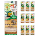 Silence Yellow Sticks: Effectieve bestrijding tegen wittevlieg, muggen en bladluizen - Silberkraft