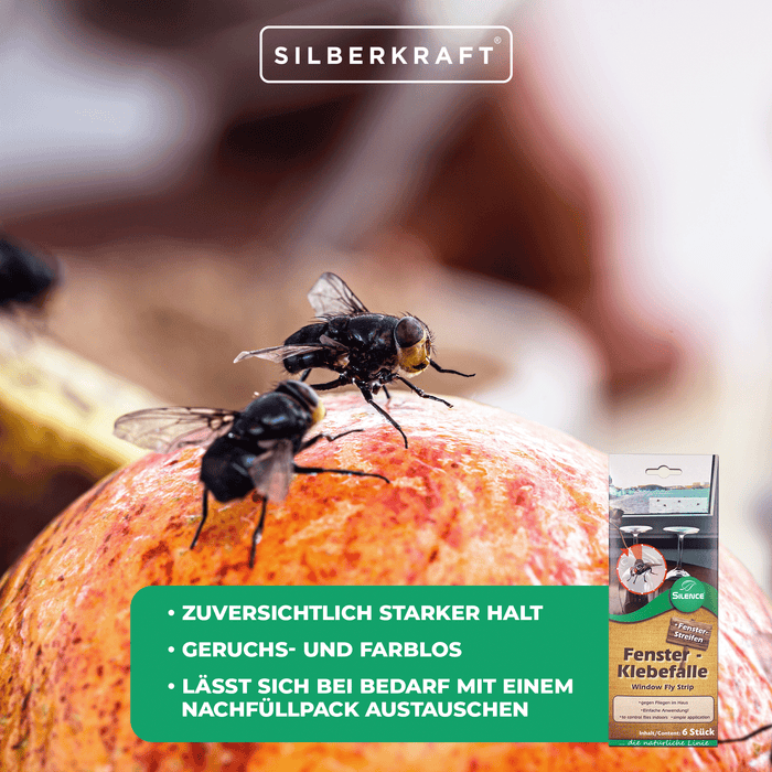 Silence Fenster-Klebefalle: Wirksame Fliegenfalle für Fenster mit transparenter Optik - Silberkraft