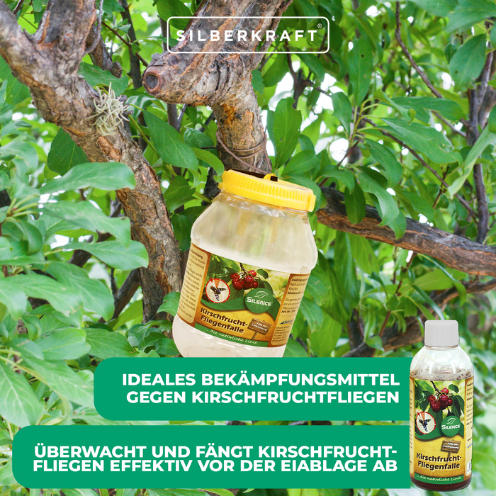 Silence Kirschfruchtfliegenfalle Nachfüllpack: zum Abfangen von Fruchtfliegen - Silberkraft