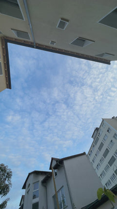 Gierzwaluwen – Offenbach am Main, Hessen, Duitsland
