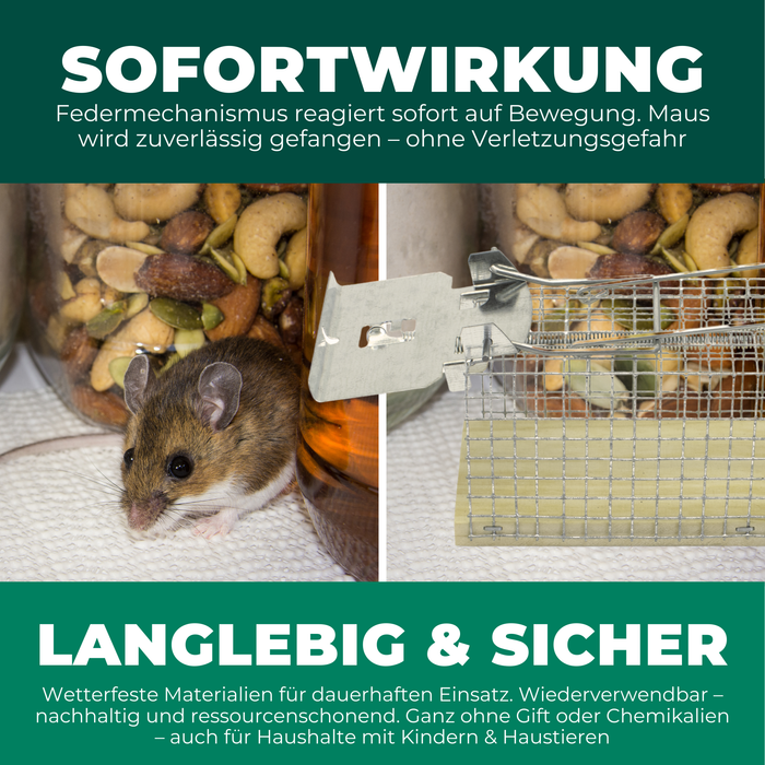 Lebendfalle für Mäuse aus Draht - Mäusefalle - tierfreundliche Alternative zu Schlagfallen und Giftköder - Silberkraft