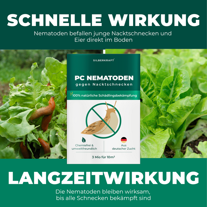 PC-nematoden tegen slakken en slakken - Silberkraft