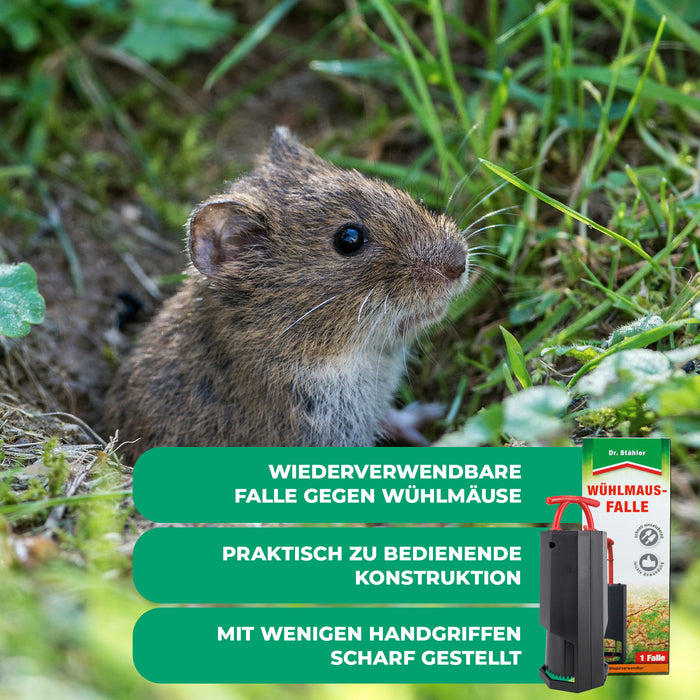 Wühlmaus-Falle: Optimaler Schutz gegen Wühlmäuse für deinen Garten (wiederverwendbar) - Silberkraft