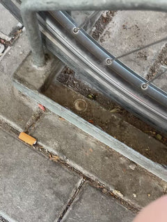 Tuin bladkever – Offenbach am Main