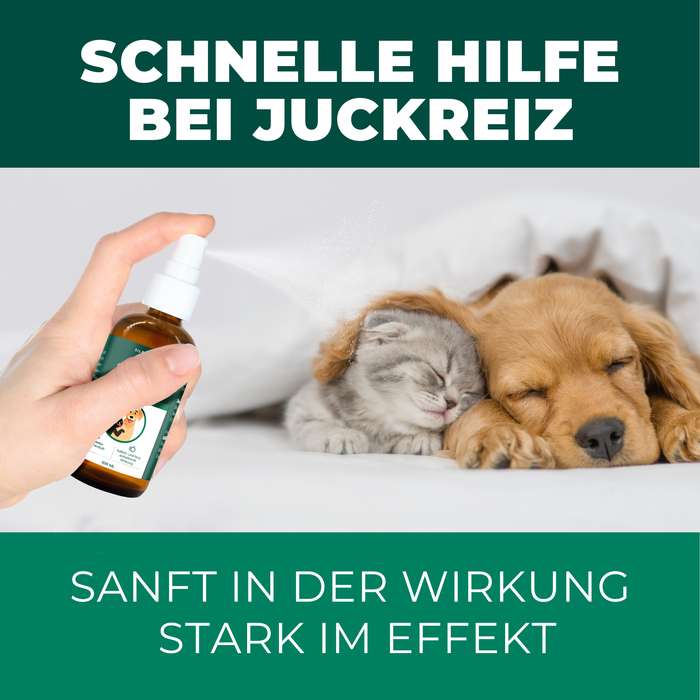 Kolloidales Silberspray 100 ml - Spray zur Wundheilung - Hautpflege bei Ungezieferbefall, Juckreiz, Infektionen, Entzündungen - für Hunde, Katzen, Nagetiere und andere Haustiere - Silberkraft