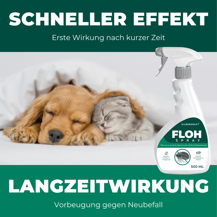 Snelle werking en langdurige werking - hond laten rusten na gebruik van de vlooienspray