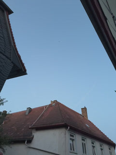 Gierzwaluwen – Oberursel