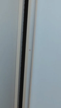 Roodfluwelen mijt – Oberursel (Taunus)