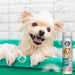 Sensitive Shampoo - Hundeshampoo für Welpen - Silberkraft