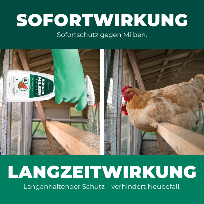 Milbenspray Hühner - Silberkraft