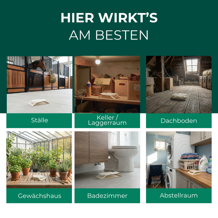 Kellerasselnfalle mit Spezial-Lockstoff - Silberkraft