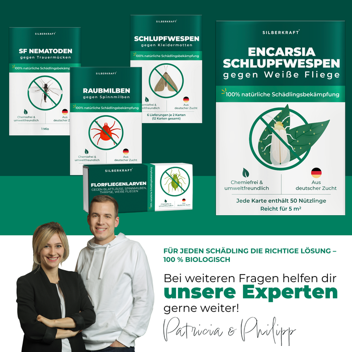 De experts Patricia en Philipp staan ​​voor verschillende nuttige insectenproducten.