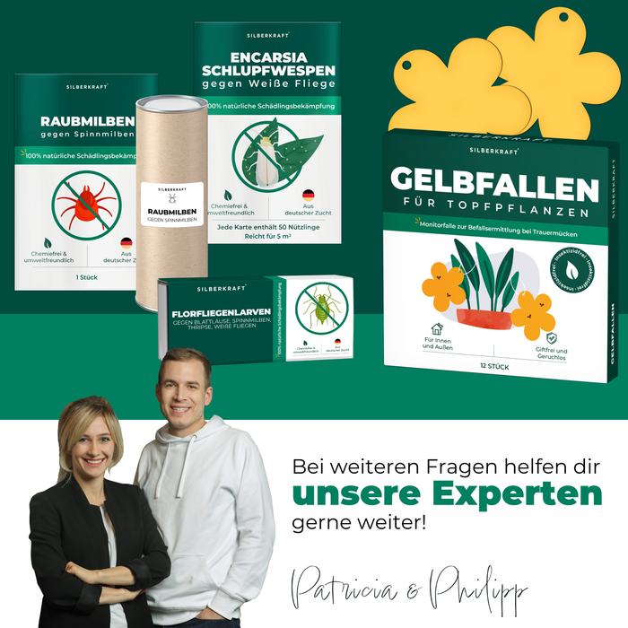 Gelbfalle Gelbtafeln Gelbsticker 12 Stück gegen Fruchtfliegen, Trauermücken, uvm. - Silberkraft