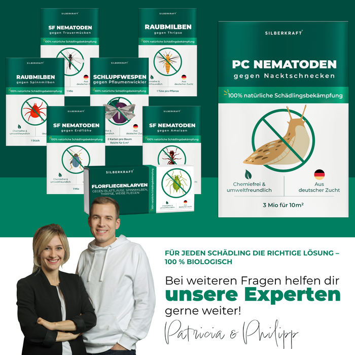 PC-nematoden tegen slakken en slakken - Silberkraft