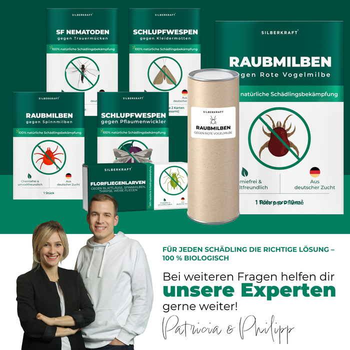 Raubmilben gegen Rote Vogelmilben - Silberkraft