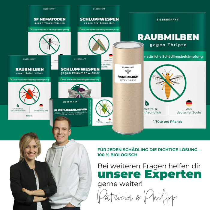 Roofmijten tegen trips - Silberkraft