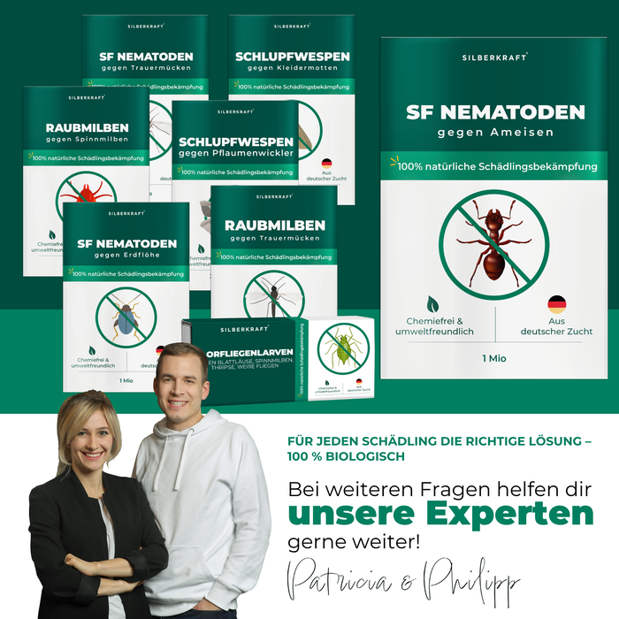 SF Nematoden gegen Ameisen - Silberkraft