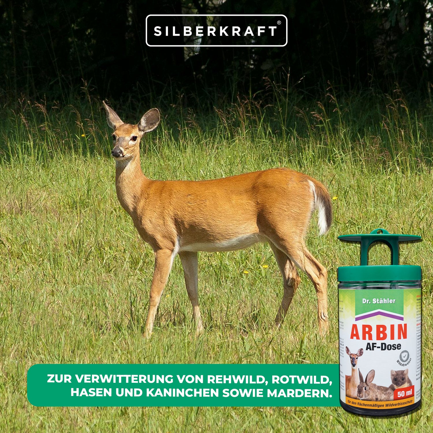 Arbin AF Dose: Effektive Wildabwehr vor Rehwild, Rotwild, Hasen, Kaninchen und Mardern - Silberkraft