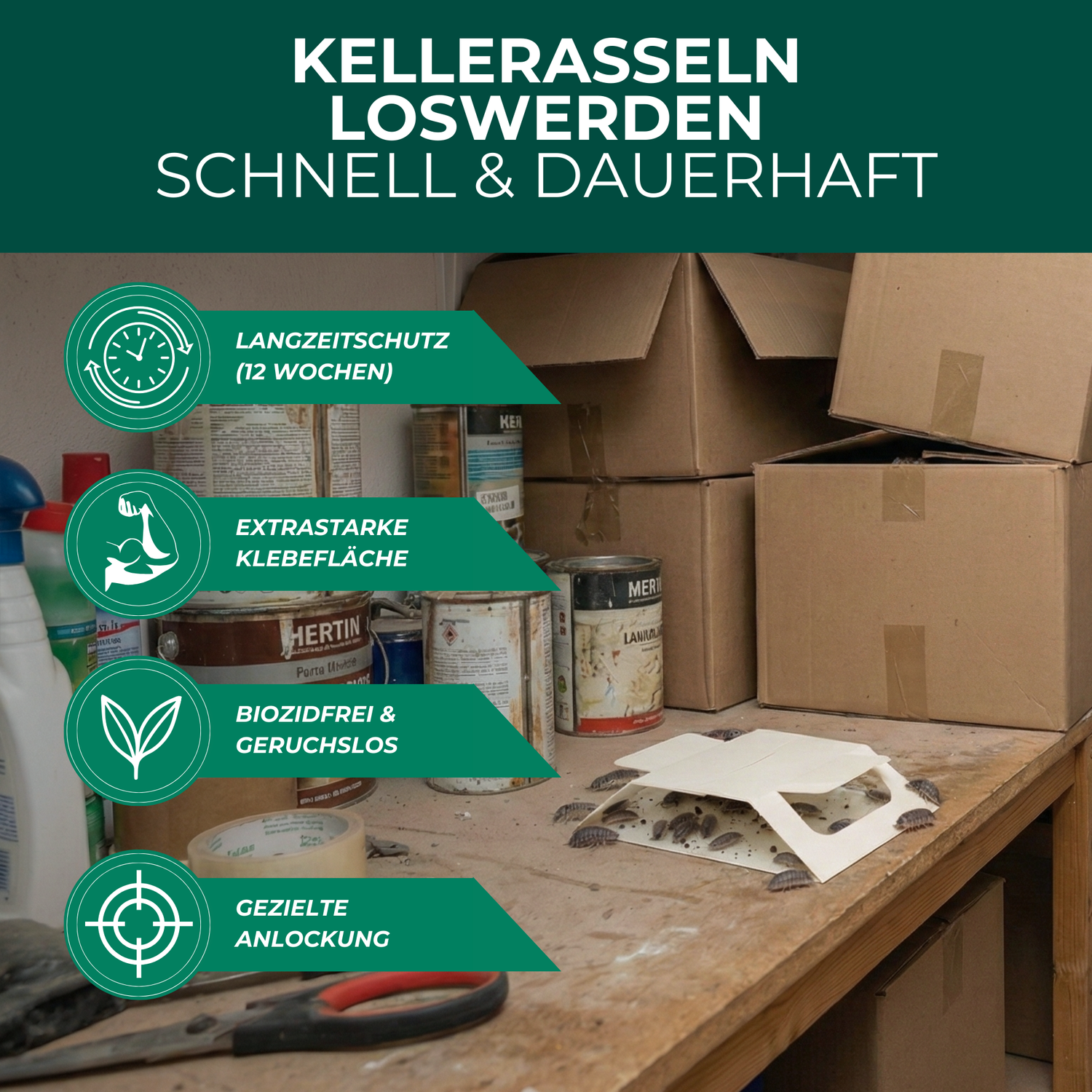 Kellerasselnfalle mit Spezial-Lockstoff - Silberkraft