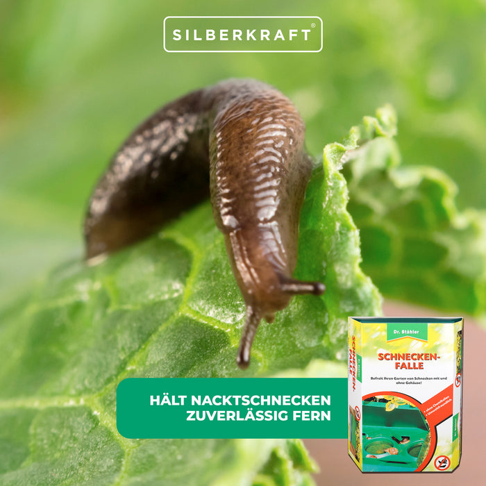 Clevere Schneckenfalle für einen schönen, ungestörten Garten - Silberkraft