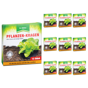 Zuverlässiger Pflanzen-Kragen: Insektizidfreie Bekämpfung der Kohlfliege - Silberkraft