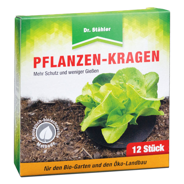 Betrouwbare plantenhalsband: insecticidevrije bestrijding van koolvlieg - Silberkraft