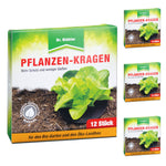 Betrouwbare plantenhalsband: insecticidevrije bestrijding van koolvlieg - Silberkraft