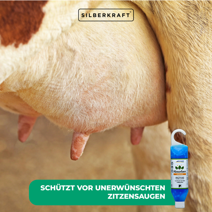 Absorben: Euterpflege-Gel gegen Zitzensaugen für Kälber und Kühe - Silberkraft