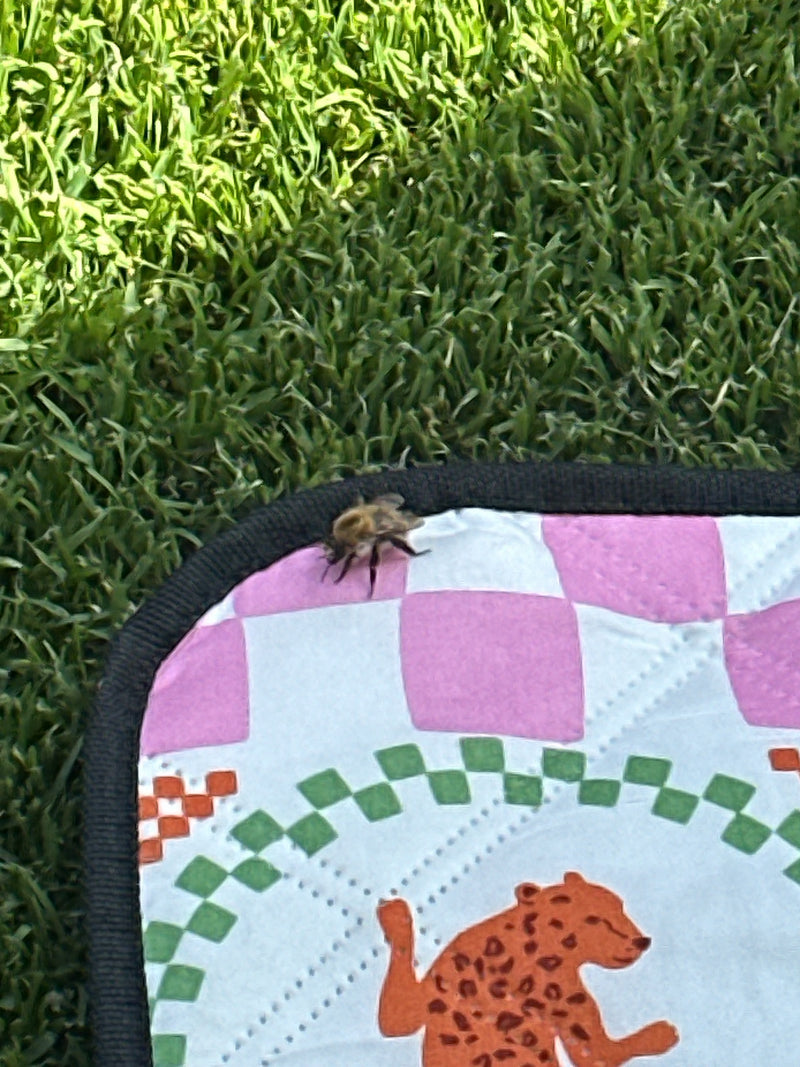Een akhommel zit op een gedessineerd kleed in het gras. Het insect is duidelijk zichtbaar.