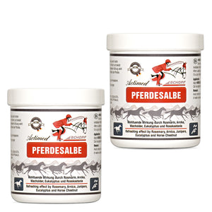 Actimed Pferdesalbe mit Arnika: Erfrischende Pflege für beanspruchte Pferdemuskeln - Silberkraft