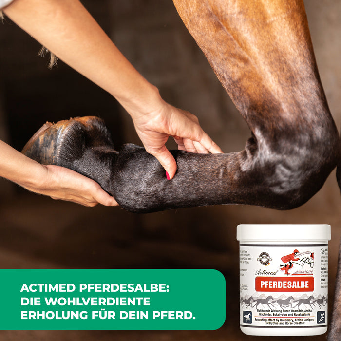 Actimed Pferdesalbe mit Arnika: Erfrischende Pflege für beanspruchte Pferdemuskeln - Silberkraft