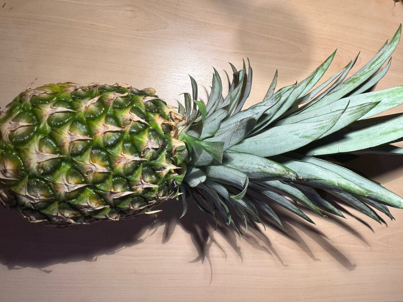 ananas — foto 3 van 11