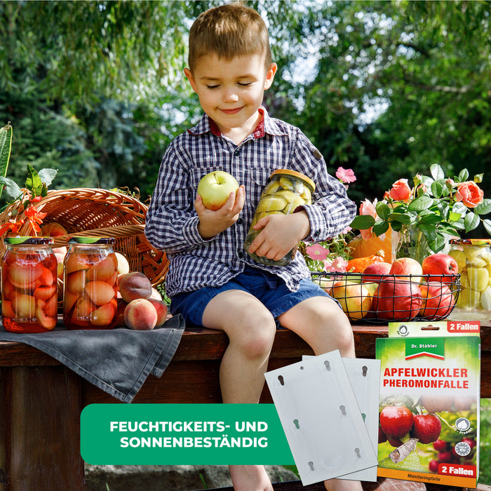 Apfelwickler Pheromonfalle: Effektiver Schutz für Obstbäume - Silberkraft