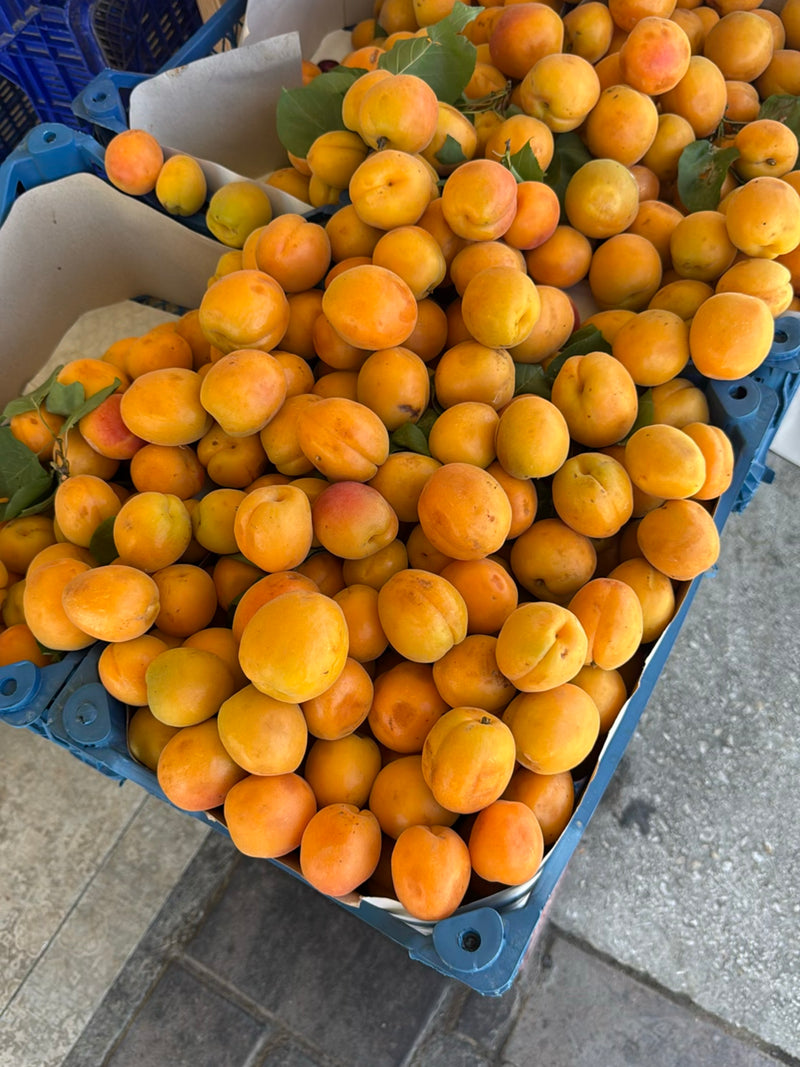 Talrijke rijpe, oranje abrikozen liggen dicht op elkaar in blauwe transportkisten. Tussen het fruit zijn enkele groene bladeren te zien.
