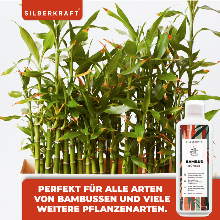 Bambusdünger - Mineralischer NPK Flüssigdünger mit Stickstoff - Dünger für Bambus - Bambus düngen - Silberkraft