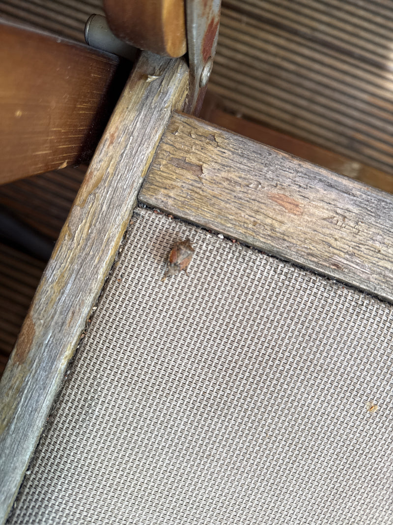 De afbeelding toont een bessenwants rustend op de stoffen bekleding van houten tuinmeubilair. Het insect is van bovenaf fotografeerd.