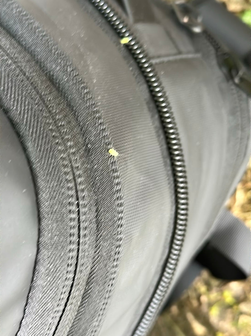 Een kleine bladluis zit op een donkere textielstof met een rits. Het insect is piepklein en nauwelijks te herkennen.