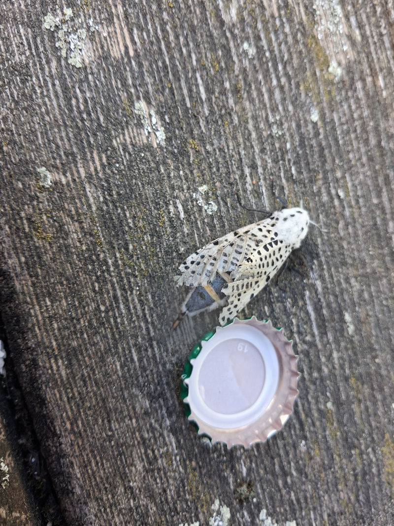 Blauw scherm — foto 2 van 13