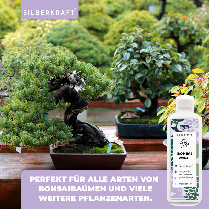 Bonsaidünger - Mineralischer NPK Flüssigdünger mit Stickstoff - Dünger für Bonsai - Bonsai Ficus Dünger - Silberkraft